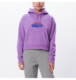 OBEY OBEY FLAMES HOODIE (medium only)