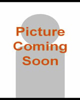 Old World Old World XXKing Cushion Dress Sock-Black