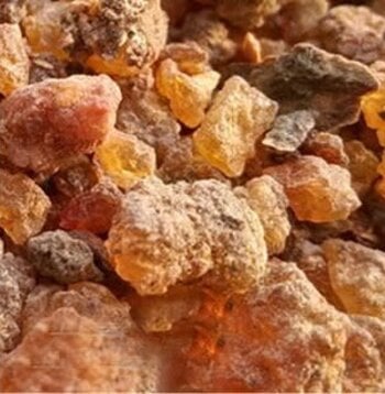 Benzoin, Resin Essential Oil
