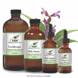 Kudzu root tincture