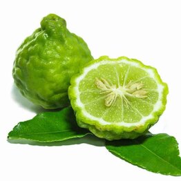 Bergamot Peel Essential Oil