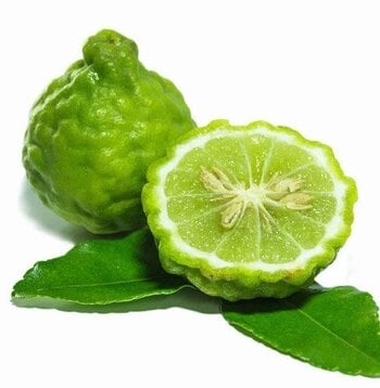 Bergamot Peel Essential Oil