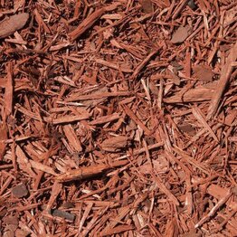 Atlas Cedar Essential Oil