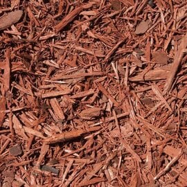 Atlas Cedar Essential Oil