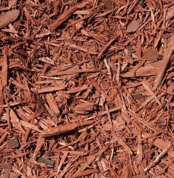 Atlas Cedar Essential Oil