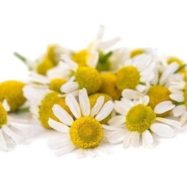 Chamomile German Blue Essential Oil