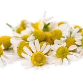 Chamomile German Blue Essential Oil