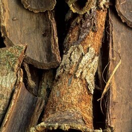 Jamaican Dogwood Cut and Sifted Bulk