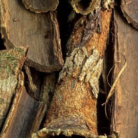 Jamaican Dogwood Cut and Sifted Bulk