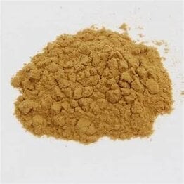 Lion's Mane Mushroom 1:1 Extract Powder Bulk