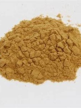 Lion's Mane Mushroom 1:1 Extract Powder Bulk