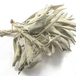 Sage, Calif. White Leaf Whole & Pieces Bulk