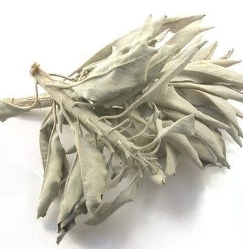 Sage, Calif. White Leaf Whole & Pieces Bulk