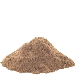 Arjuna Bark Powder Bulk