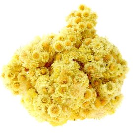 Helichrysum Essential Oil