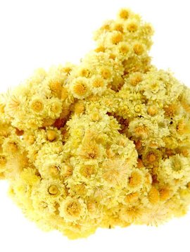 Helichrysum Essential Oil