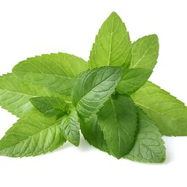 Peppermint Essential Oil