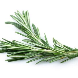 Rosemary Essential Oil