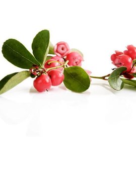 Wintergreen Essential Oil