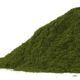 Wheat Grass Shoots Powder Bulk