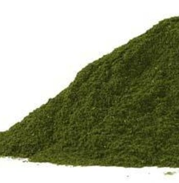 Wheat Grass Shoots Powder Bulk