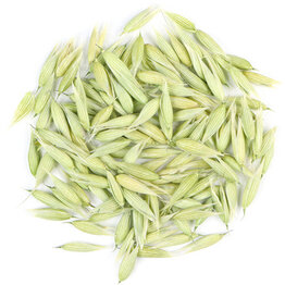 Oat Seed Tops Whole Bulk