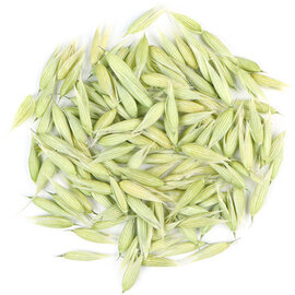 Oat Seed Tops Whole Bulk