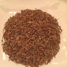 Cryptolepis root cut and sifted