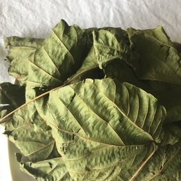 Alchornea Cordifolia Cut and Sifted Bulk