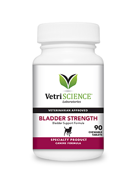 Bladder Strength for Dogs 90 chews pet