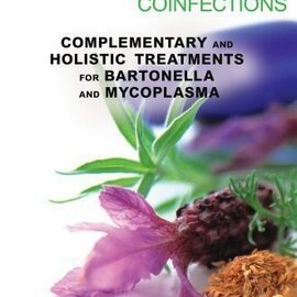 Generic Healing Lyme  Disease Coinfectios by Stephen Harrod Buhner - BOOK