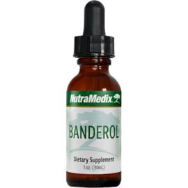 Banderol - various sizes