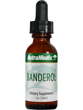 Banderol - various sizes