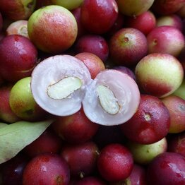 Camu Camu powder