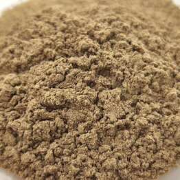 Bacopa herb powder Bulk