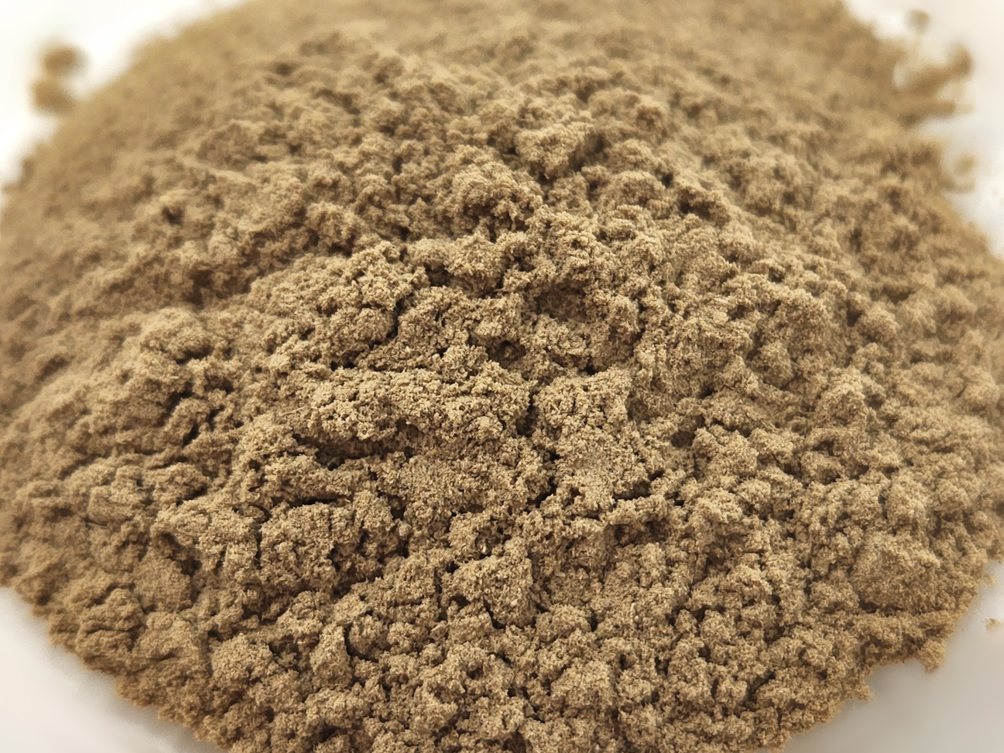Bacopa herb powder Bulk