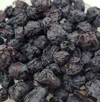 Bilberry Fruit Whole Bulk