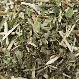 Bugleweed Cut and Sifted Bulk