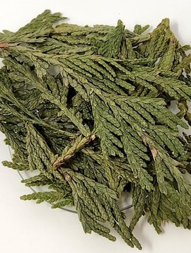 Cedar Leaf Tips Bulk