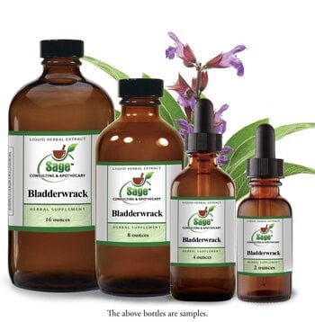 Bladderwrack seaweed tincture