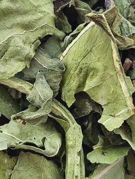 Dandelion Leaf Cut and Sifted Bulk