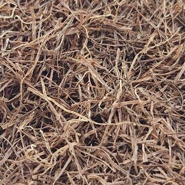 Cornsilk Cut and Sifted Bulk