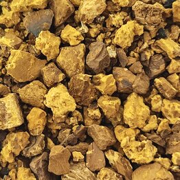 Chaga Mushroom Granules Bulk