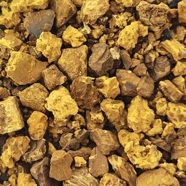 Chaga Mushroom Granules Bulk