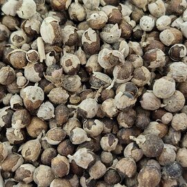 Chaste Tree Berry Whole Bulk