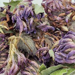 Red Clover Blossoms Whole Bulk