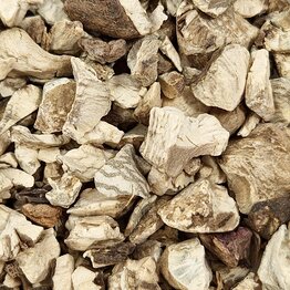 Stone Root (Collinsonia) Cut and Sifted Bulk