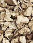 Stone Root (Collinsonia) Cut and Sifted Bulk