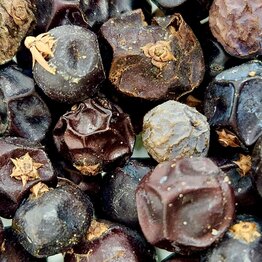 Juniper Berry Whole Bulk