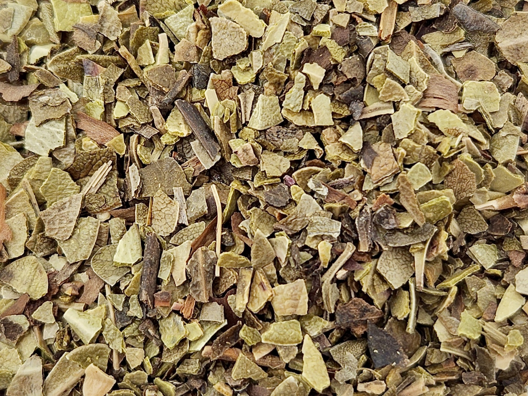 Uva Ursi Leaf Cut and Sifted Bulk